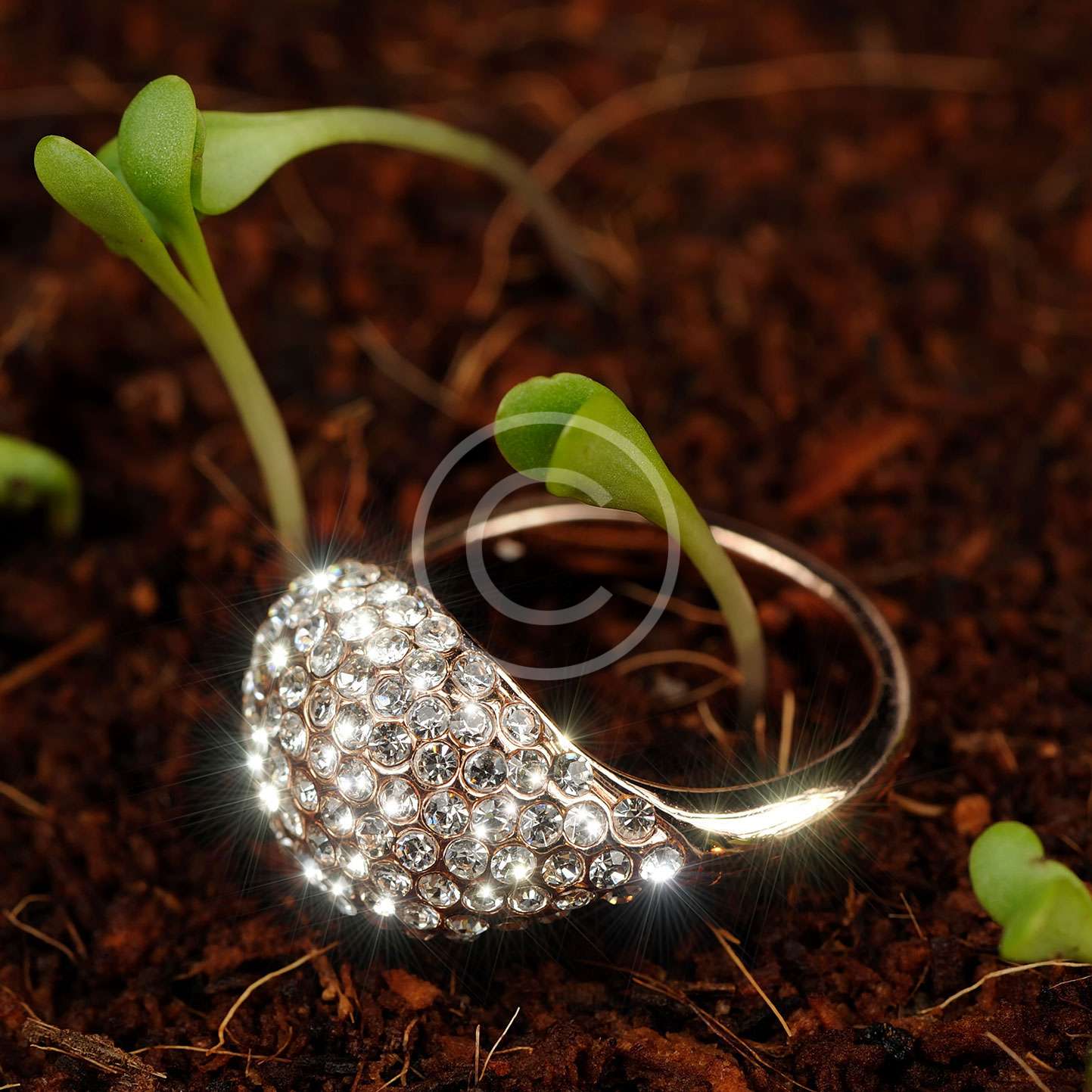 Diamonds and Platinum