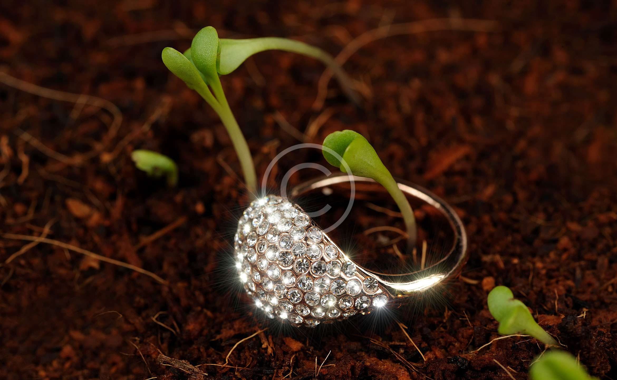 Wie man Schmuck und Haarfarbe anpassen muss