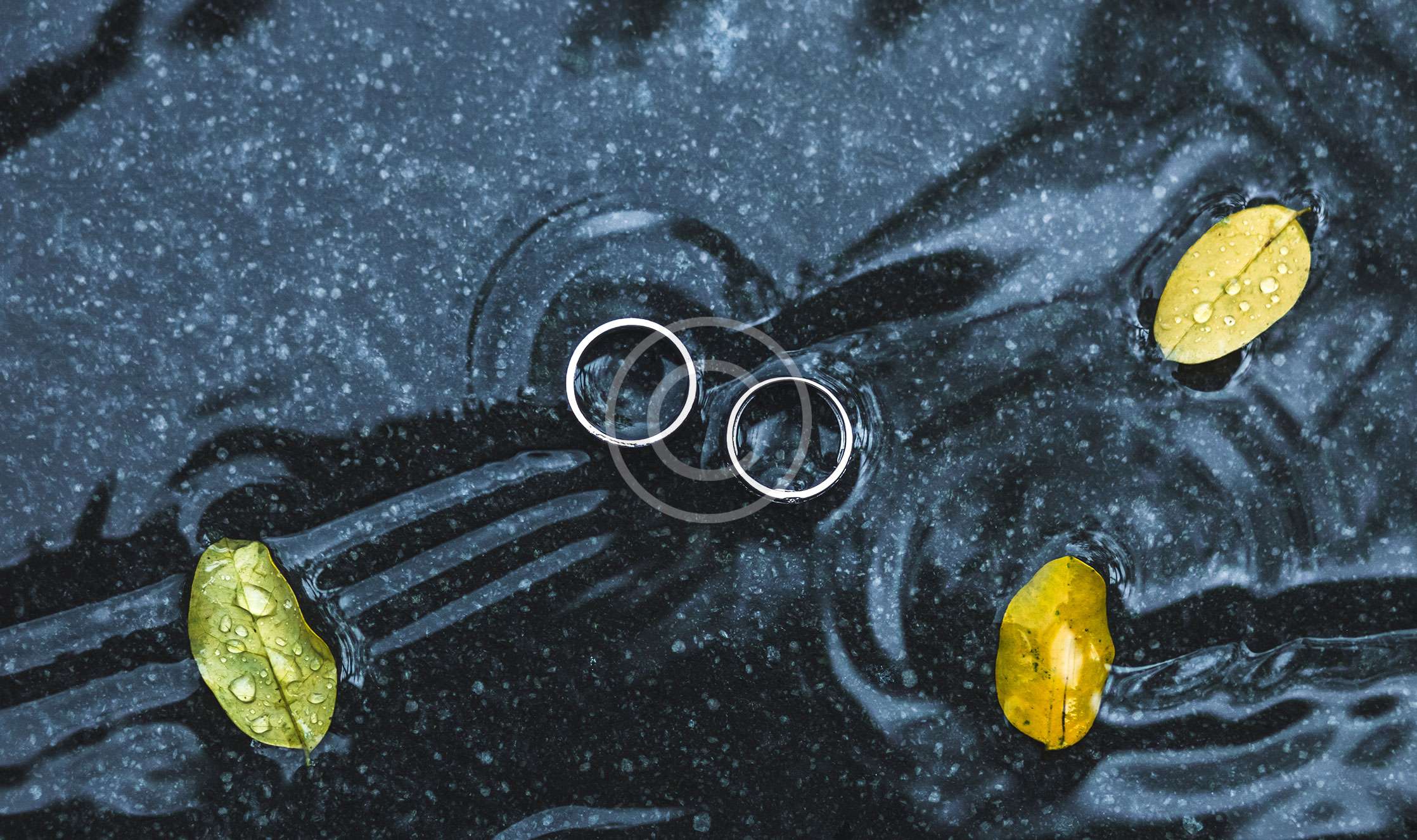 Midi Rings: a Must-have